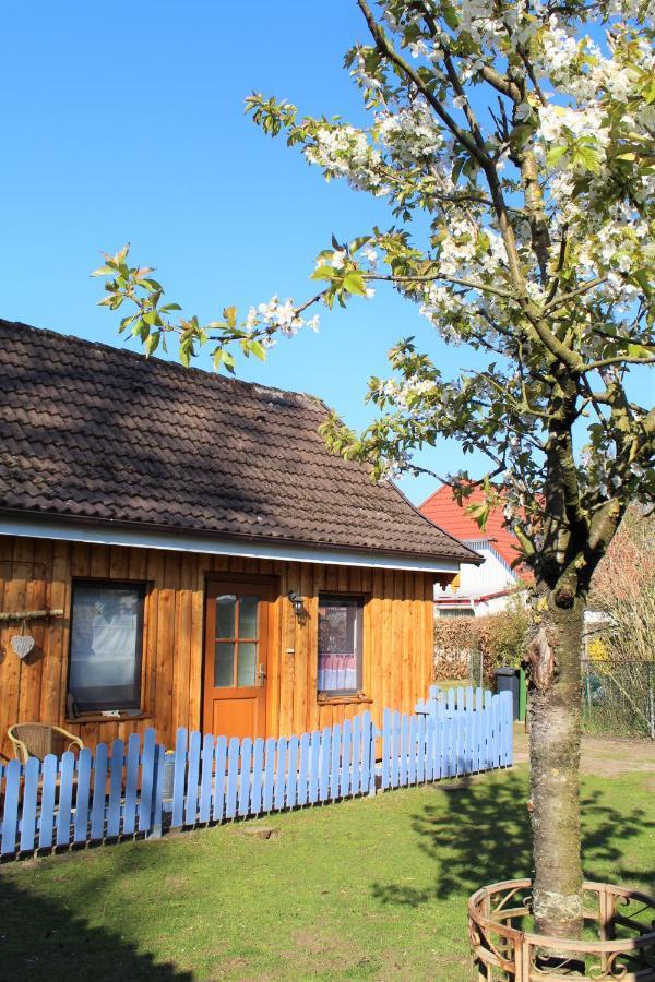 Ferienhaus/Ferienwohnung Reinecke Hodenhagen Dış mekan fotoğraf